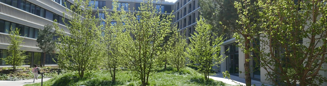 horticulture-amenagement-paysager-amenagement-exterieur-lausannes (108) horticulture-amenagement-paysager-amenagement-exterieur-lausannes (108)