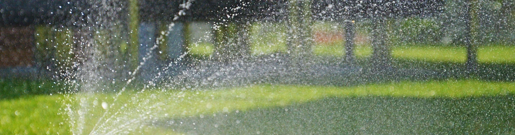 DSC_7402 DSC_7402