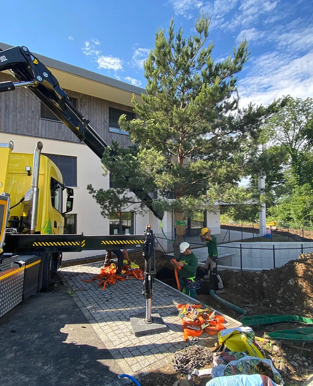 horticulture-amenagement-paysager-jardins et projets-lausanne (2) horticulture-amenagement-paysager-jardins et projets-lausanne (2)